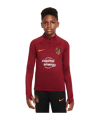 Nike Atletico Madrid Strike Drill Top Kids F682 - rot