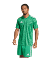 adidas Team Icon 25 Trikot Grün - gruen