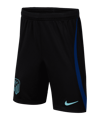 Nike Atletico Madrid Short Away 2022/2023 Kids Schwarz F010 - schwarz