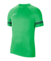 Nike Academy 21 T-Shirt Grün Weiss F362