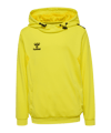 Hummel Authentic Pl Felpa bambini giallo F5269 