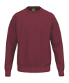 Erima Sweatshirt Rouge Cnewbordeaux