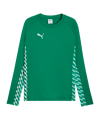 PUMA teamLIGA26 Training Sweatshirt Vert C05 