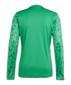 adidas Team Icon 25 Trikot Grün - gruen