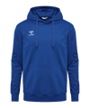 Hummel Go 2.0 Hoody Blauw F7045  