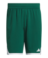 adidas Everyday Pro Court Vert