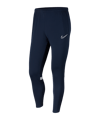 Nike Academy 21 Trainingshose Kids Blau Weiss F451