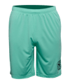 PUMA RE Fibre pantaloncini Tuerkis F07 