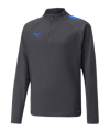PUMA teamLIGA HalfZip Sweatshirt Enfants Gris C044 
