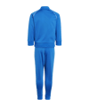 adidas Originals Adicolor Trainingsanzug Kids Blau - blau