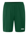 JAKO Manchester 2.0 Short Kids Grün F207