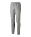 Pantalon de survêtement PUMA teamCUP Casuals gris F13