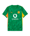 PUMA Borussia Dortmund SS Torwarttrikot 2025/2026 Grün F98