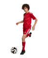 adidas Team Icon 25 Trikot Kids Rot - rot