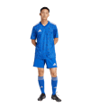 adidas Team Icon 25 Trikot Hellblau - blau