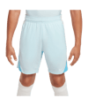 Nike Strike 24 Short Kids Blau F474