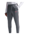 Nike Strike Trainingshose Grau F013