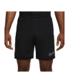 Nike Academy 25 Short Schwarz F010