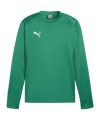 Sweatshirt PUMA teamGOAL training vert F05 