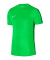 Nike Academy Trainingsshirt Kids Grün F329