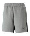 PUMA TeamCUP Casuals Korte Broek Grijs F13  