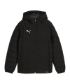 PUMA teamAdditions Veste Enfants Noir C03 