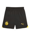 PUMA BVB Dortmund Short 2023/2024 Kids Schwarz F02