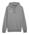 PUMA TeamGOAL Casuals Hoody Grijs F33  