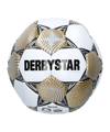 Derbystar FB-BRILLANT TT v23 Trainingsball F189