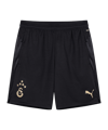 PUMA Galatasaray Istanbul Pocket Training Pantaloncini Nero C10