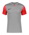 Nike Trophy V Shirt Grijs F052  
