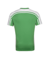 11teamsports Clásico Trikot Grün Weiss F30 - gruen