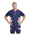 adidas Ajax Amsterdam Icon Trikot Blau - blau