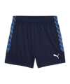 PUMA teamLIGA26 Training Short Kids Blau F06
