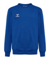 Hummel GO 2.0 sweatshirt kids blauw F7045 