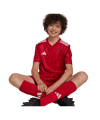 adidas Team Icon 25 Trikot Kids Rot - rot