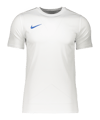 Nike Park VII Trikot Weiss Blau F102