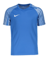 Nike Academy Trikot Kids Blau F463
