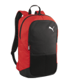 PUMA TeamGOAL Rugzak Rood F03  