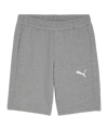 PUMA teamGOAL Casuals Shorts Grau F33