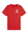 PUMA AC Mailand ftblICONS T-Shirt Rot F10 - rot