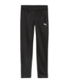 PUMA teamGOAL Training Jogginghose Kids F03