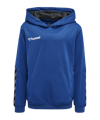 Hummel Authentic Poly Hoody Kids Blauw F7045  