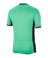Nike Atletico Madrid Trikot UCL 2023/2024 F364 - gruen