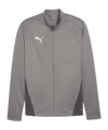 Veste de Training PUMA teamGOAL gris F13 