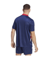 adidas Ajax Amsterdam Icon Trikot Blau - blau