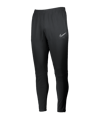 Nike Therma-FIT Academy Winter Warrior Hose F011