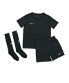 Nike Park 20 Trikot Set Kids Schwarz F010