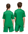 adidas Team Icon 25 Trikot Kids Grün - gruen