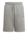 adidas Originals Adicolor Shorts Grey - grau